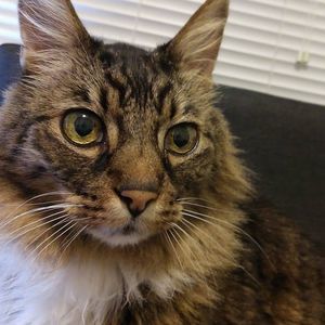 Meet your Posher, Cassie